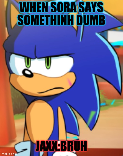 sora | WHEN SORA SAYS SOMETHINH DUMB; JAXX:BRUH | image tagged in sonic bruh seriously | made w/ Imgflip meme maker