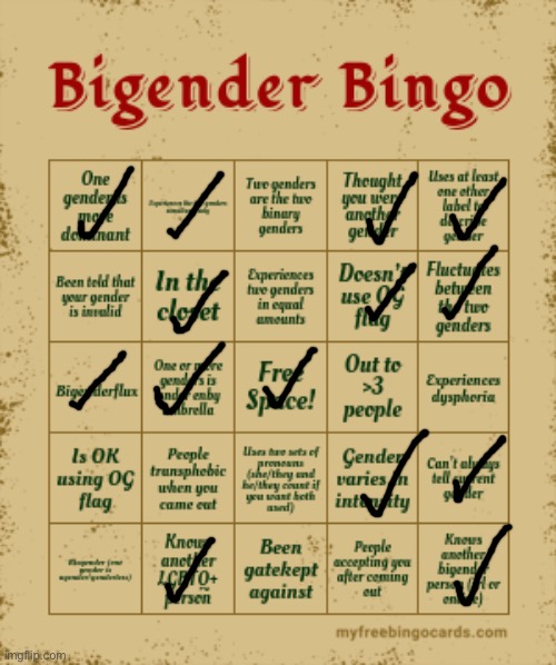 Bingo! | image tagged in bigender bingo | made w/ Imgflip meme maker