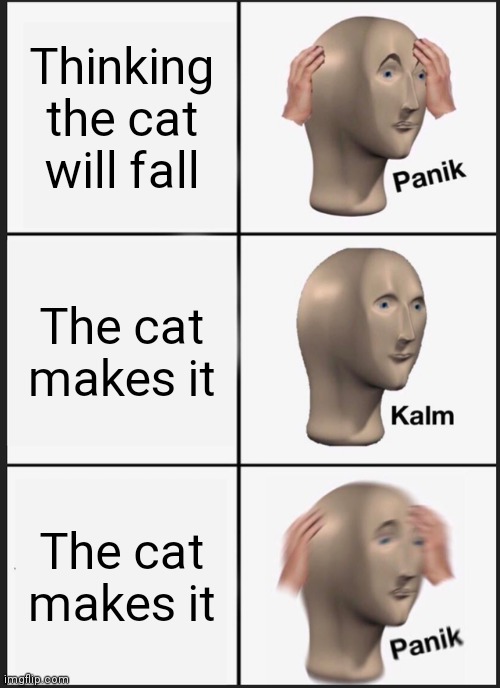 Panik Kalm Panik Meme | Thinking the cat will fall The cat makes it The cat makes it | image tagged in memes,panik kalm panik | made w/ Imgflip meme maker