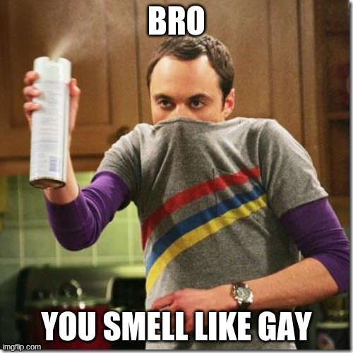 air freshener sheldon cooper | BRO; YOU SMELL LIKE GAY | image tagged in air freshener sheldon cooper | made w/ Imgflip meme maker