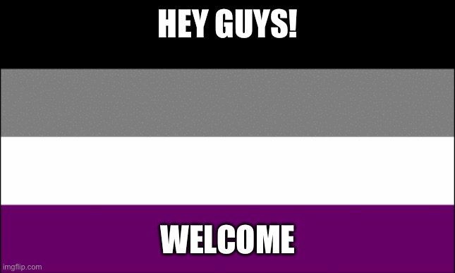 ace flag | HEY GUYS! WELCOME | image tagged in ace flag | made w/ Imgflip meme maker