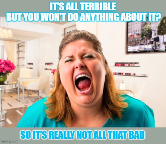 Is it really all that bad? | IT'S ALL TERRIBLE 
BUT YOU WON'T DO ANYTHING ABOUT IT? SO IT'S REALLY NOT ALL THAT BAD | image tagged in complaining,terrible,not bad | made w/ Imgflip meme maker