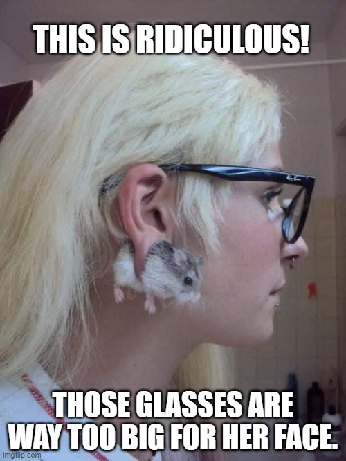 This is ridiculous |  THIS IS RIDICULOUS! THOSE GLASSES ARE WAY TOO BIG FOR HER FACE. | image tagged in glasses,hamster,piercings,ridiculous | made w/ Imgflip meme maker