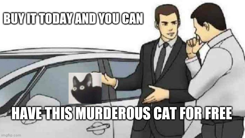 Car Salesman Slaps Roof Of Car Meme | BUY IT TODAY AND YOU CAN HAVE THIS MURDEROUS CAT FOR FREE | image tagged in memes,car salesman slaps roof of car | made w/ Imgflip meme maker