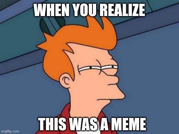 First meme | WHEN YOU REALIZE; THIS WAS A MEME | image tagged in memes,futurama fry | made w/ Imgflip meme maker