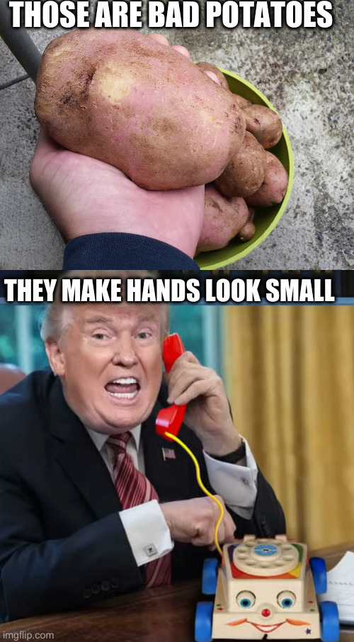 even potatoes are political | THOSE ARE BAD POTATOES; THEY MAKE HANDS LOOK SMALL | image tagged in i'm the president | made w/ Imgflip meme maker