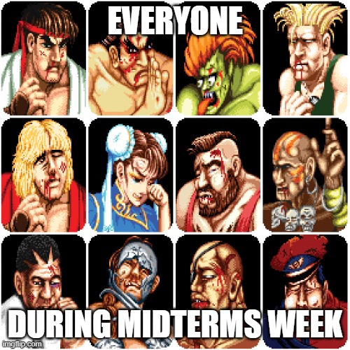 Characters from Street Fighter 2 | EVERYONE; DURING MIDTERMS WEEK | image tagged in characters from street fighter 2 | made w/ Imgflip meme maker