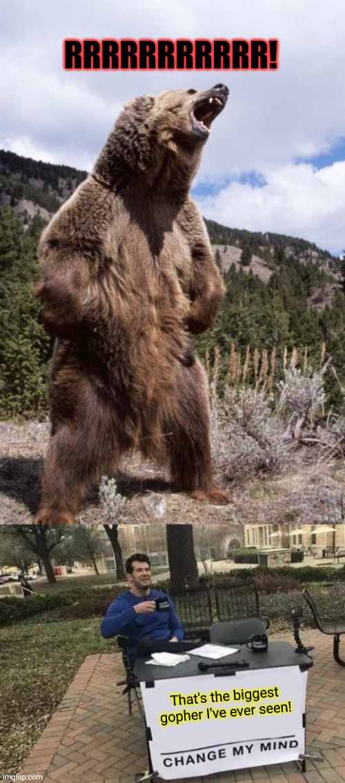 Wait that's illegal | RRRRRRRRRRR! That's the biggest gopher I've ever seen! | image tagged in memes,change my mind,wait that's illegal,bears,grizzly bear | made w/ Imgflip meme maker