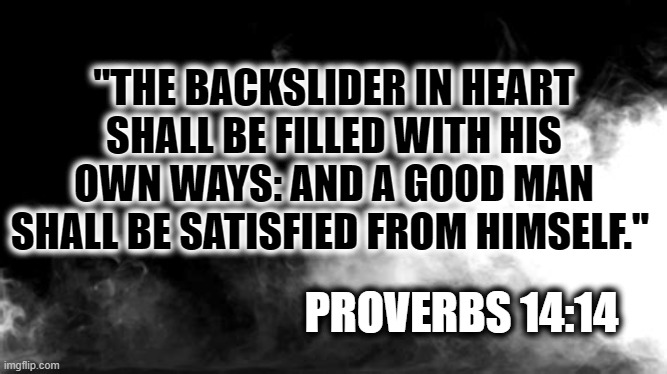 Sinners AREN'T Saved. | "THE BACKSLIDER IN HEART SHALL BE FILLED WITH HIS OWN WAYS: AND A GOOD MAN SHALL BE SATISFIED FROM HIMSELF."; PROVERBS 14:14 | image tagged in bible,thepreacher,perrygreene,youtube,sinnomore | made w/ Imgflip meme maker