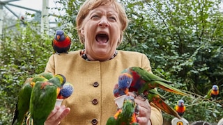 Merkel hat nen vogel Blank Meme Template