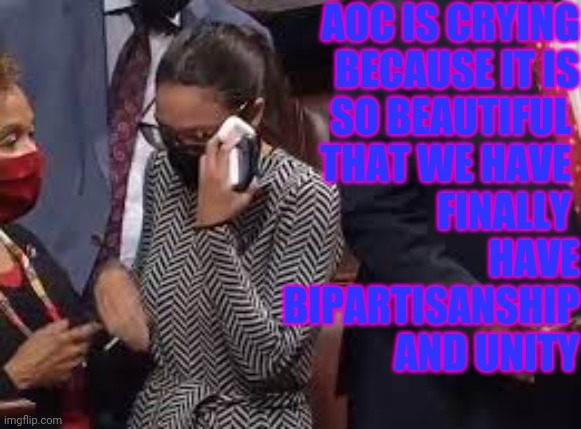 United we stand | AOC IS CRYING
 BECAUSE IT IS
 SO BEAUTIFUL 
THAT WE HAVE 
FINALLY 
HAVE
 BIPARTISANSHIP
 AND UNITY | image tagged in aoc | made w/ Imgflip meme maker