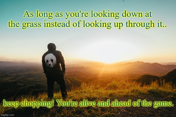 You're alive so keep living |  As long as you're looking down at the grass instead of looking up through it.. keep chopping! You're alive and ahead of the game. | image tagged in alive,above ground | made w/ Imgflip meme maker
