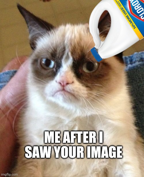 Grumpy Cat Meme | ME AFTER I SAW YOUR IMAGE | image tagged in memes,grumpy cat | made w/ Imgflip meme maker