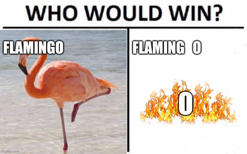 probably the flamingo because the o is dying of fire and flamingo can just chill and eat shrimp or whatever | FLAMINGO; FLAMING   O; O | image tagged in flamingo,flaming o,7 dying braincells,wow you are reading these tags,who would win | made w/ Imgflip meme maker