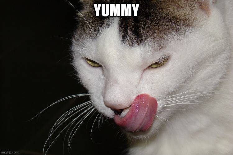 YUMMY | YUMMY | image tagged in yummy | made w/ Imgflip meme maker