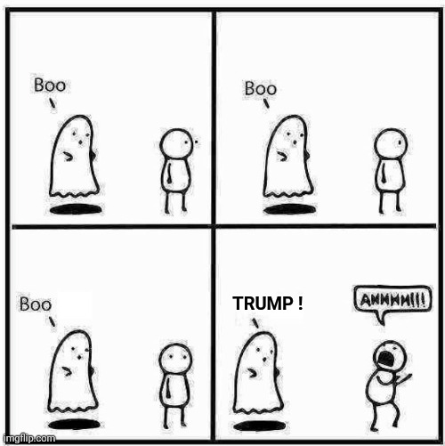 Ghost Boo | TRUMP ! | image tagged in ghost boo | made w/ Imgflip meme maker