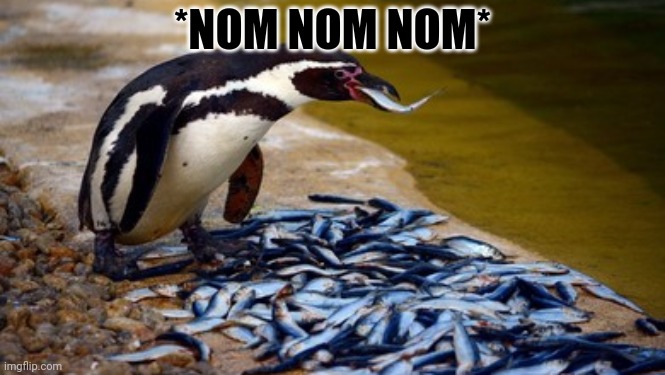 *NOM NOM NOM* | made w/ Imgflip meme maker