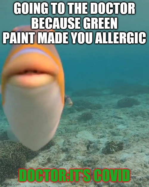 Very important for doctors to see | GOING TO THE DOCTOR BECAUSE GREEN PAINT MADE YOU ALLERGIC; DOCTOR:IT'S COVID | image tagged in staring fish | made w/ Imgflip meme maker