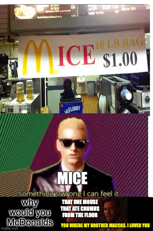 they just no, why, wa, HOW DO YOU MESS THAT UP? | MICE; why would you McDonalds; THAT ONE MOUSE THAT ATE CRUMBS FROM THE FLOOR; YOU WHERE MY BROTHER MACCAS. I LOVED YOU | image tagged in memes,mice,mcdonalds,fails | made w/ Imgflip meme maker