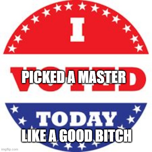 I Voted Today | PICKED A MASTER; LIKE A GOOD BITCH | image tagged in i voted today | made w/ Imgflip meme maker