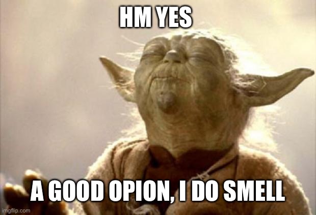 yoda smell | HM YES A GOOD OPINION, I DO SMELL | image tagged in yoda smell | made w/ Imgflip meme maker