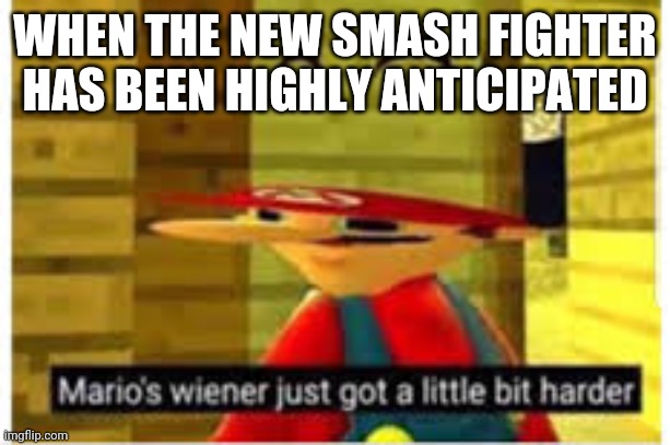 Mario's Wiener | WHEN THE NEW SMASH FIGHTER HAS BEEN HIGHLY ANTICIPATED | image tagged in mario's wiener,smash bros,smg4 | made w/ Imgflip meme maker