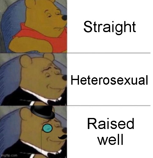 I respect others opinion, its just a joke | Straight; Heterosexual; Raised well | image tagged in tuxedo winnie the pooh 3 panel,straight,memes,funny,upvote if you agree,jokes | made w/ Imgflip meme maker
