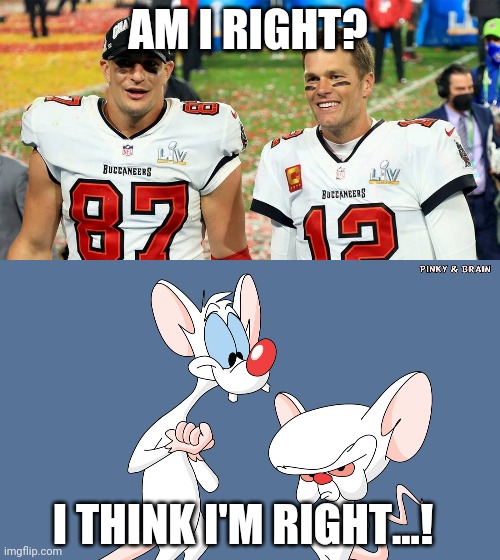 Pinky and the Brain | AM I RIGHT? I THINK I'M RIGHT...! | image tagged in pinky and the brain,tom brady,rob gronkowski | made w/ Imgflip meme maker
