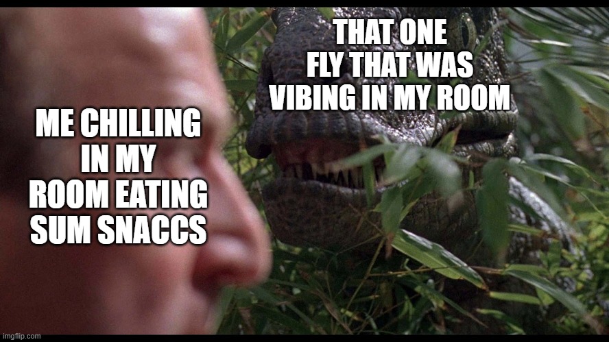 snaccs | THAT ONE FLY THAT WAS VIBING IN MY ROOM; ME CHILLING IN MY ROOM EATING SUM SNACCS | image tagged in clever girl | made w/ Imgflip meme maker