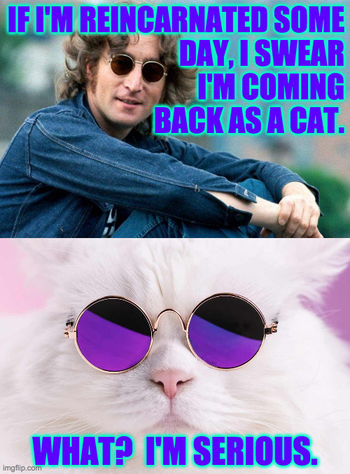 You fill out just the one application and it's good for nine lives. | IF I'M REINCARNATED SOME
DAY, I SWEAR
I'M COMING
BACK AS A CAT. WHAT?  I'M SERIOUS. | image tagged in memes,john lennon,cool cat,reincarnation | made w/ Imgflip meme maker