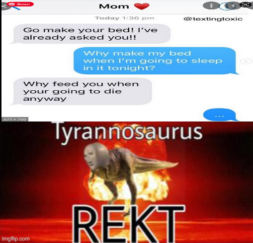 savage mom | image tagged in tyrannosaurus rekt,oof,lol,funny memes,memes | made w/ Imgflip meme maker