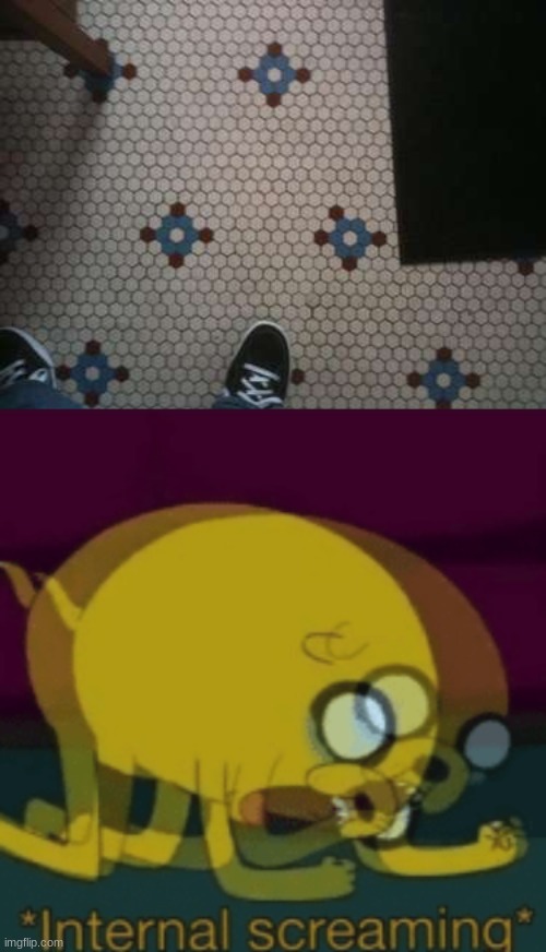 E | image tagged in jake the dog internal screaming | made w/ Imgflip meme maker