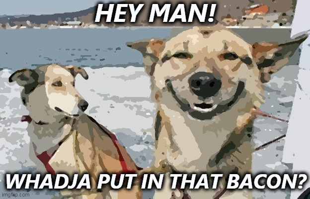 Wow! | HEY MAN! WHADJA PUT IN THAT BACON? | image tagged in memes,original stoner dog,bacon | made w/ Imgflip meme maker