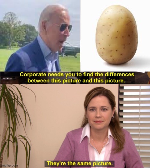 They're The Same Picture | image tagged in memes,they're the same picture,joe biden | made w/ Imgflip meme maker