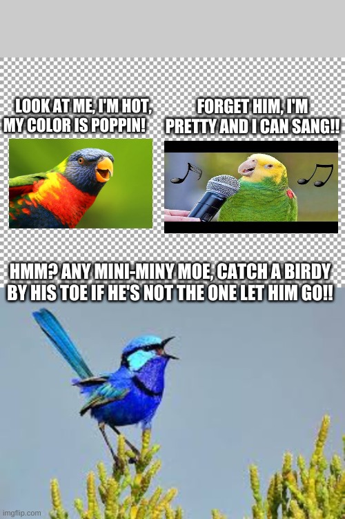 Dating is hard | FORGET HIM, I'M PRETTY AND I CAN SANG!! LOOK AT ME, I'M HOT, MY COLOR IS POPPIN! HMM? ANY MINI-MINY MOE, CATCH A BIRDY BY HIS TOE IF HE'S NOT THE ONE LET HIM GO!! | image tagged in free,female | made w/ Imgflip meme maker