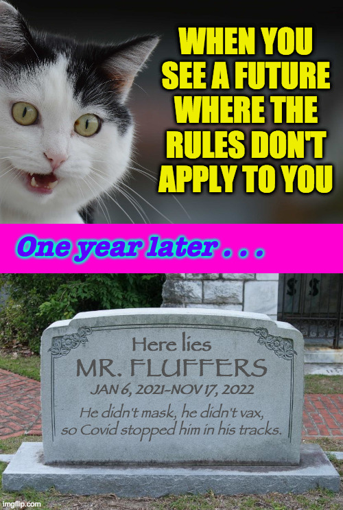 Well, eventually he was right.  RIP Mr. Fluffers. | WHEN YOU
SEE A FUTURE
WHERE THE
RULES DON'T
APPLY TO YOU; One year later . . . Here lies; MR. FLUFFERS; JAN 6, 2021-NOV 17, 2022; He didn't mask, he didn't vax,
so Covid stopped him in his tracks. | image tagged in gravestone,memes,rip mister fluffers,covid,anti-vaxx | made w/ Imgflip meme maker