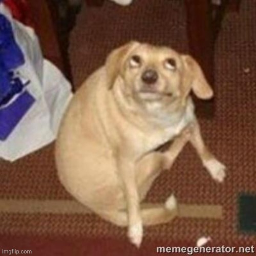 oh you dog | image tagged in oh you dog | made w/ Imgflip meme maker