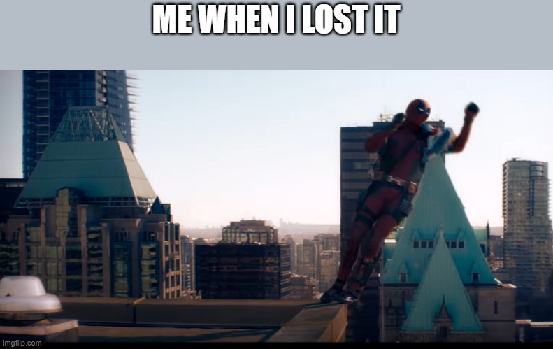 ME WHEN I LOST IT | image tagged in i have lost it | made w/ Imgflip meme maker