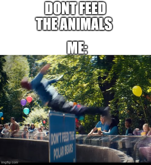 feeding the animals | DONT FEED THE ANIMALS; ME: | image tagged in deadpool,feeding the animals | made w/ Imgflip meme maker