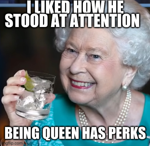 drinky-poo |  I LIKED HOW HE STOOD AT ATTENTION; BEING QUEEN HAS PERKS | image tagged in drinky-poo | made w/ Imgflip meme maker