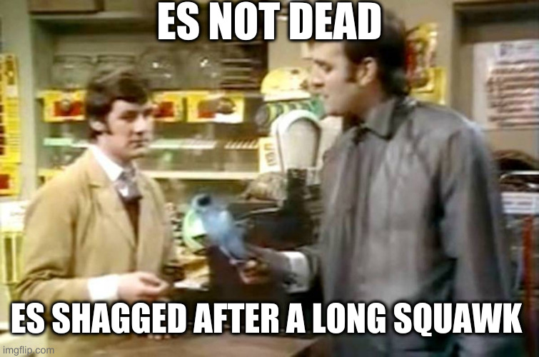 Monty python dead parrot | ES NOT DEAD; ES SHAGGED AFTER A LONG SQUAWK | image tagged in monty python dead parrot | made w/ Imgflip meme maker