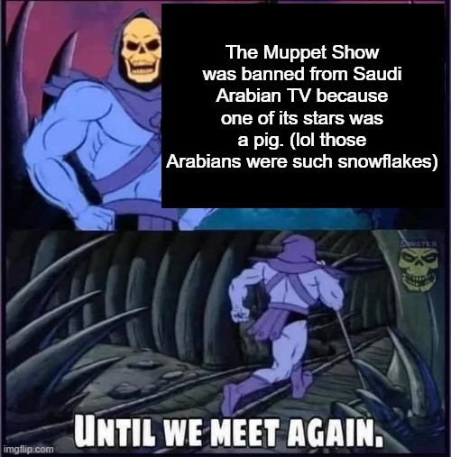 Until we meet again. | The Muppet Show was banned from Saudi Arabian TV because one of its stars was a pig. (lol those Arabians were such snowflakes) | image tagged in until we meet again | made w/ Imgflip meme maker