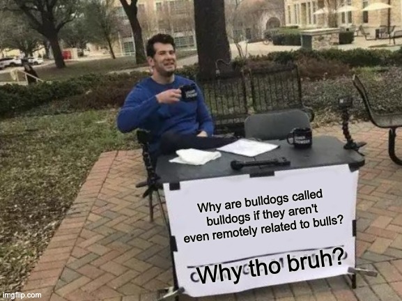Why? | Why are bulldogs called bulldogs if they aren't even remotely related to bulls? Why tho bruh? | image tagged in memes,change my mind,funny,gifs,not really a gif,barney will eat all of your delectable biscuits | made w/ Imgflip meme maker