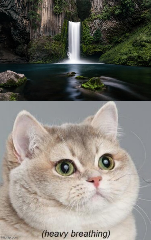 treasure behind waterfall | image tagged in memes,heavy breathing cat,gaming | made w/ Imgflip meme maker