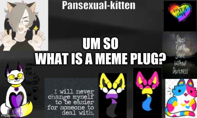 hehe- | UM SO
WHAT IS A MEME PLUG? | image tagged in -pansexual-kitten-,idk | made w/ Imgflip meme maker