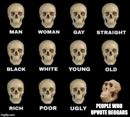Bruh |  PEOPLE WHO UPVOTE BEGGARS | image tagged in skull | made w/ Imgflip meme maker