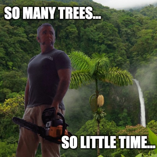 So Many Trees... | SO MANY TREES... SO LITTLE TIME... | image tagged in chainsaw,jungle,trees,time | made w/ Imgflip meme maker
