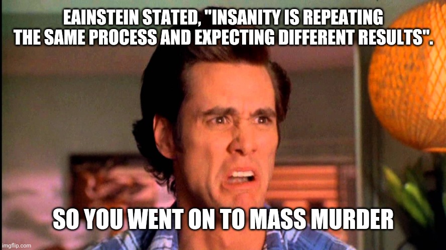 So you went on to mass murder | EAINSTEIN STATED, "INSANITY IS REPEATING THE SAME PROCESS AND EXPECTING DIFFERENT RESULTS". SO YOU WENT ON TO MASS MURDER | image tagged in ace ventura einhorn is finkle,m,einstein,einstein quote | made w/ Imgflip meme maker