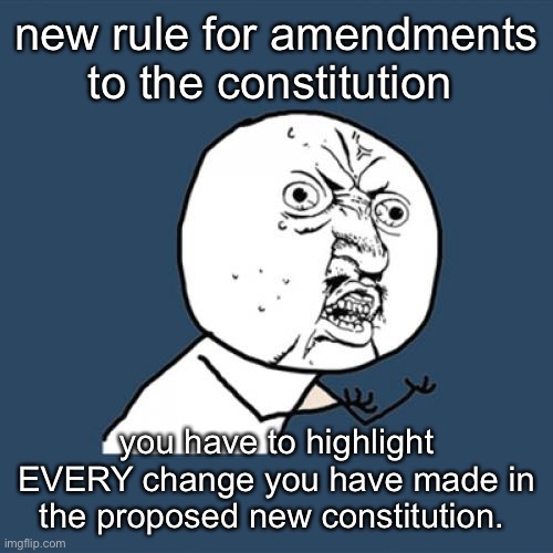 so this never happens again | new rule for amendments to the constitution; you have to highlight EVERY change you have made in the proposed new constitution. | image tagged in memes,y u no | made w/ Imgflip meme maker