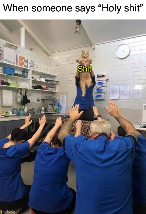 The holy shit | When someone says “Holy shit”; Shit | image tagged in people worshipping the cat | made w/ Imgflip meme maker